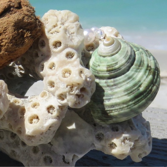 Lion's Paw Driftwood Coral Pearly Beachscape OOAK Handcrafted Coastal Art - Picture 7 of 11